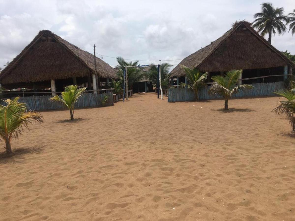 Villa Cocotiers A11 コトヌー エクステリア 写真